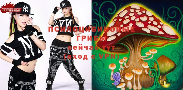 spice Абаза