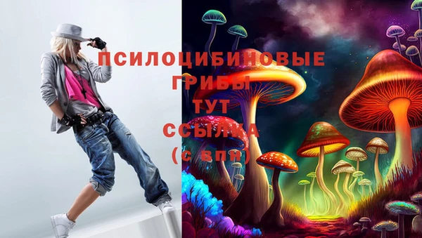 стафф Алексеевка
